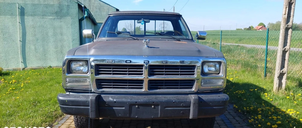 Dodge RAM cena 31000 przebieg: 209000, rok produkcji 1990 z Skwierzyna małe 92